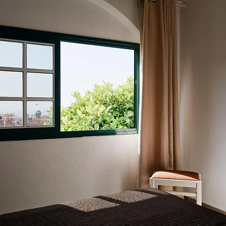 Apartman Neptuno Costadeje
